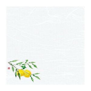 4 lGʉ_~ 100 Mq(10`12) [ 12 x 12cm ] y ~ z |   ze   aH Cxg Ɩp