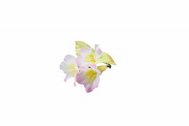四季の花ごよみ 桜 (100ケ入) [約L6cm] | 和食 日本料理 演出 小物 飾り その他
