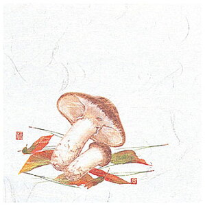 4OPΕ~@ (100) [12×12cm] | aH  H Η o e[uEGA e[u}bg ΃}bg `}bg