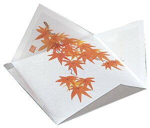 R lG̎M ݂ (200) [10.5×10.5×H2.5cm(7×7cm)] | aH  H Η o e[uEGA e[u}bg ΃}bg R ̑