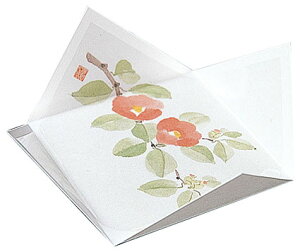 R lG̎M ΂ (200) [10.5×10.5×H2.5cm(7×7cm)] | aH  H Η o e[uEGA e[u}bg ΃}bg R ̑