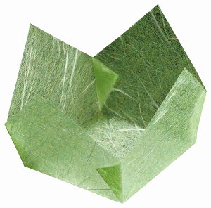 ʃ~p@ᑐ_ (200) [8×8×H5cm] | aH  Η ԓ ٓ  Jbv ̑