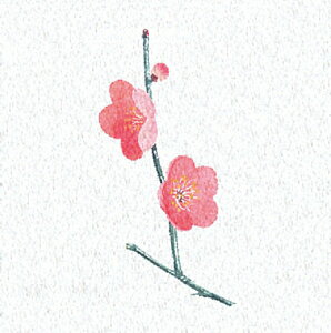 ʃ~lGʃV[g@~@(200) [14×14cm] | aH  H Η o e[uEGA e[u}bg ΃}bg `}bg