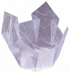 OP@_@ (200) [7×7×H5.5cm] | aH  Η ԓ ٓ  Jbv ̑
