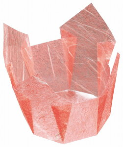 OP@g~_@ (200) [7×7×H5.5cm] | aH  Η ԓ ٓ  Jbv ̑