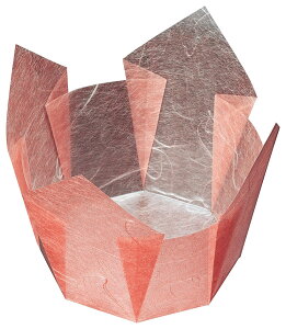 OP@g~_@ (100) [13×13×H9cm] | aH  Η ԓ ٓ  Jbv ̑