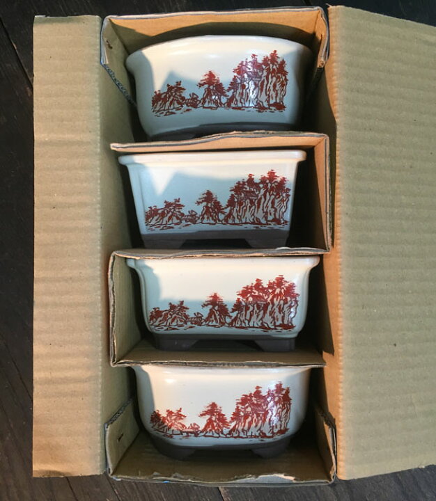 楽天市場】文山 3.5号4点セット 赤絵山水 さつき鉢 箱入 和風 植木鉢 