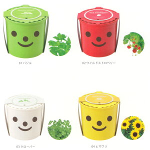 植木鉢と種がセットになったスマイル&スマイル