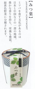 植木鉢と種がセットになった染付小紋薬味小鉢栽培セット(みつ葉)