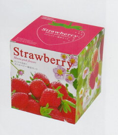 楽天市場 種 四季なりイチゴの通販