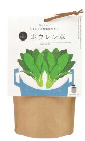 植木鉢と種がセットになった育てるスープ栽培セット（ほうれん草）