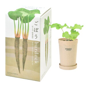 AؔƎ킪ZbgɂȂō؍͔|Zbg