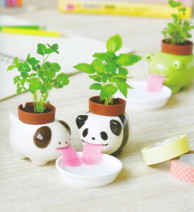 AؔƎ킪ZbgɂȂy| Aj}Y de ͔|