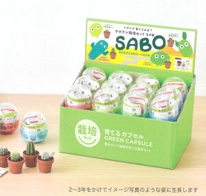 Ǝ킪ZbgɂȂ ĂJvZ T{e12Zbg