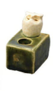 ~jX^h@ӂ낤蕨Mtg v[g v`Mtg  ̔ 䍁@@F@A}@ObY@j Cj zj Vzj