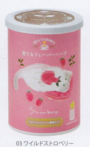 ̂ЂTCY͔̍|ZbgĂt[o[EChXgx[