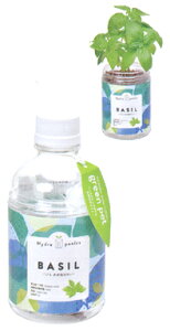 ybg{g̒ňĂn[u͔|ZbgO[ybgEoW