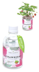 ybg{g̒ňĂn[u͔|ZbgO[ybgEChXgx[