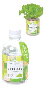 ybg{g̒ňĂn[u͔|ZbgO[ybgE^X