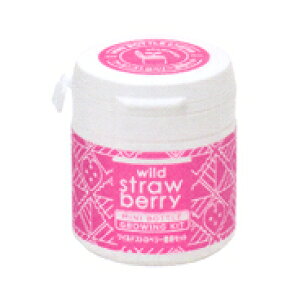 ~j{g̒ňĂn[u͔|Zbg~j{gn[uXEsN/ChXgx[