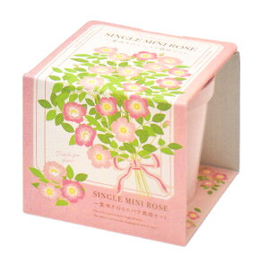 手のひらサイズの栽培セットサンクスガーデン・ミニバラ