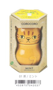 AؔƎ킪ZbgɂȂRRLbg