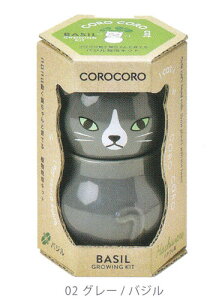 AؔƎ킪ZbgɂȂRRLbg