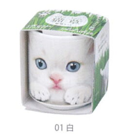 植木鉢と種がセットになったおちょこで猫草 白