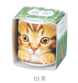 植木鉢と種がセットになったおちょこで猫草 茶