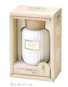 植木鉢と種がセットになったボタニカルフレグランス