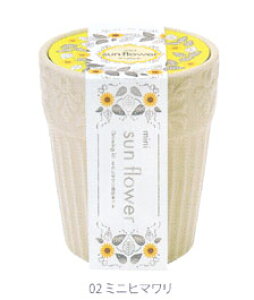 AؔƎ킪ZbgɂȂO[XK[f