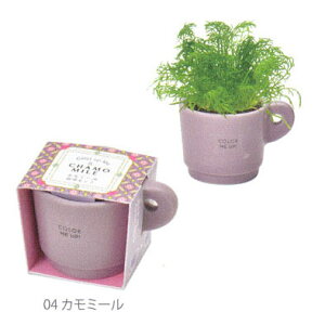 植木鉢と種がセットになったミニマグ