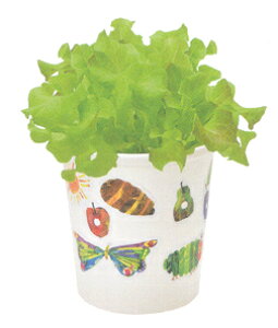 �͂�؂������ނ��y�^�y�^�����������͔|�Z�b�g�E���^�X