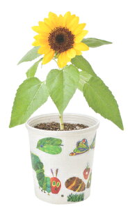 ͂؂ނy^y^͔|ZbgE~jЂ܂