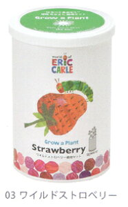 ͂؂ނȂ悵͔|ZbgEChXgx[