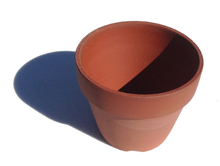 楽天市場 植木鉢 ５号朱温鉢 干支お雛様のせともの市場