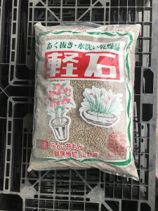 y1+1kg