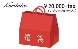 �m���^�P�@2026�N���܃C���O���b�V���n�[�u�Y�@20000�~�y�V�t/����/�H��Z�b�g/�}�O�J�b�v/�v���[�g/noritake�z