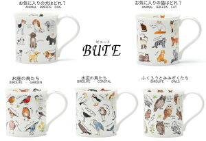 �_�k�[�� bute�@�}�O 300ml�y�M�t�gBOX����z���C�ɓ���̌��͂ǂ�H/���C�ɓ���̔L�͂ǂ�H/����̒�����/���ӂ̒�����/�ӂ��낤�Ƃ݂݂�������