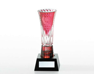 yN[|OFFIziϔjQ328-2849-CAUJK~NX^]ː؎q@gtB[()tɎlpĖږ䁄i190mmjyKagamizeybNOXzbN 