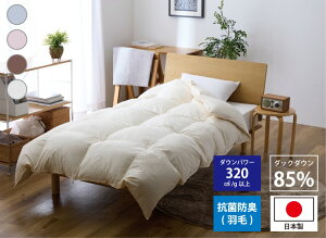 y{zRۖhL Hъ|ӂƂ (zCg_bO85%)