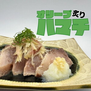 炙り ハマチ 630g (90g×7P) 冷凍真空パック オリーブハマチ 香川県産 ブランドハマチ オリーブハマチ 鮮魚 刺身 焼魚 炙り 産直 ポリフェノール 抗酸化作用 冷蔵 お取寄せ ギフト 地元オススメ