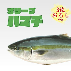 三枚おろし 瀬戸内海 オリーブハマチ 産地直送 香川県産 ブランドハマチ 瀬戸内 ハマチ 鮮魚 刺身 焼魚 産直 ポリフェノール 抗酸化作用 冷蔵 お取寄せ ギフト 地元オススメ はまち