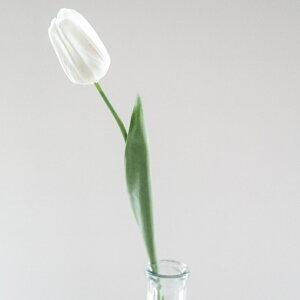 `[bv A[eBtBVt[  t[AWg Ӓ j Mtg v[g u[P  CeA ̓ a ~jTCY JXj ԍޔ̔