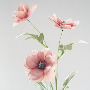 All A[eBtBVt[  t[AWg j Mtg v[g u[P  CeA a {̔ CeA CeAt[ tFCNt