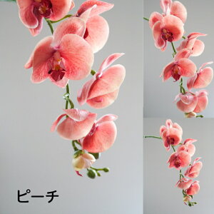 胡蝶蘭 アーティフィシャルフラワー 造花 フラワーアレンジメント 胡蝶蘭 お祝い ギフト プレゼント ブーケ おしゃれ インテリア 母の日 誕生日 ミニサイズ 開店祝い コチョウラン