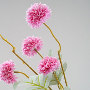 s|} A[eBtBVt[  t[AWg Ӓ j Mtg v[g u[P  CeA ̓ a ~jTCY JXj ԍޔ̔ {