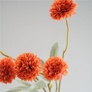 s|} A[eBtBVt[  t[AWg Ӓ j Mtg v[g u[P  CeA ̓ a ~jTCY JXj ԍޔ̔ {