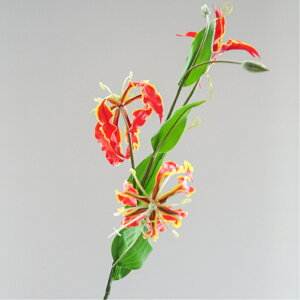 OIT A[eBtBVt[  t[AWg Ӓ j Mtg v[g u[P  CeA ̓ a ~jTCY JXj ԍޔ̔ {