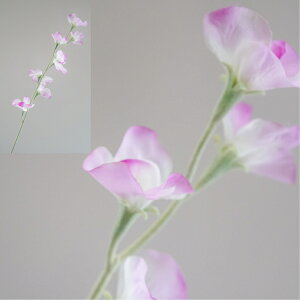 XC[gs[ A[eBtBVt[  t[AWg Ӓ j Mtg v[g u[P  CeA ̓ a ~jTCY JXj ԍޔ̔ {